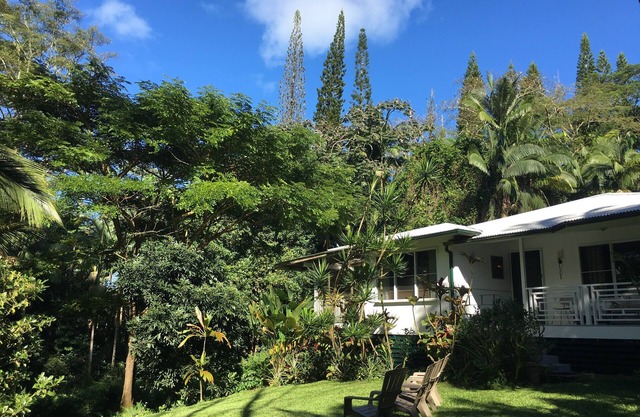 THE JUNGLE FARMHOUSE - Come See the Volcanoes National Park