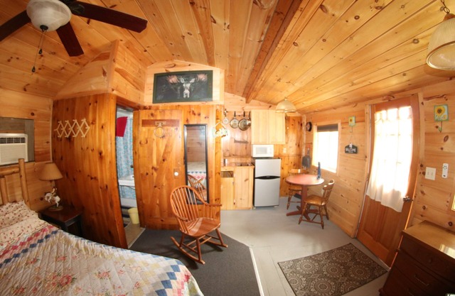 The Love Nest-Pine lined walls 1 room efficiency cabin #4