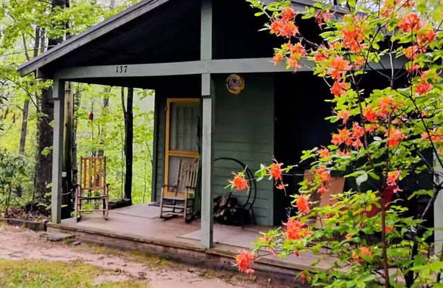 The Love Shack Cabin, NC
