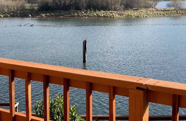 The MAILBOAT House