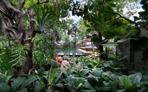The Nature & Villas