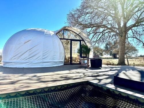 The Nautilus at the Retreat
