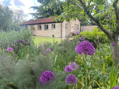The Old Piggery - tranquil garden guest cottage