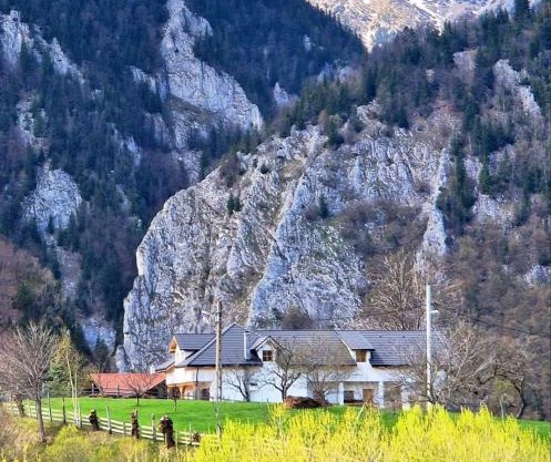 The Origin ● Mountain Guesthouse ● Magura