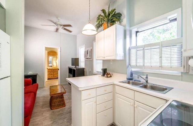 The Palmetto Inn - Redfish - 1 Bedroom Queen Suite