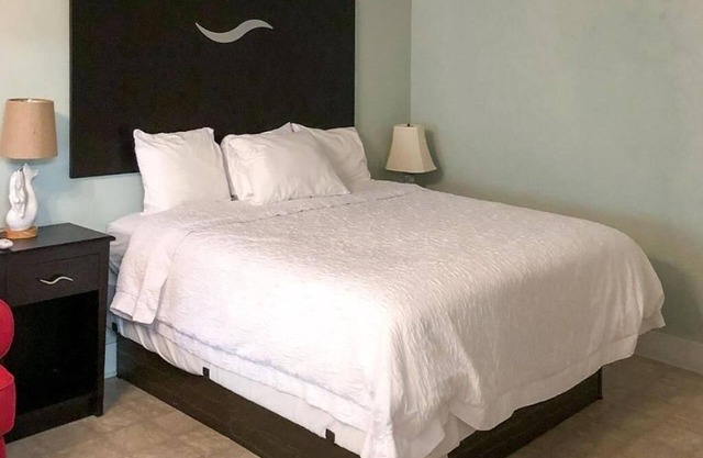 The Palmetto Inn - Snapper - King Efficiency Suite