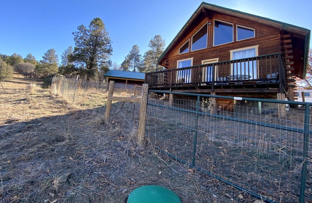 The Paws and Ponies Cabin - The True Gem of Pagosa