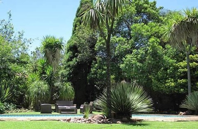 The Pecan Tree