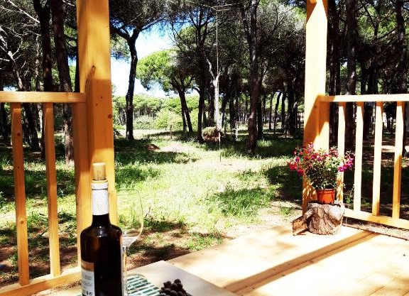 The PineForest Cabin