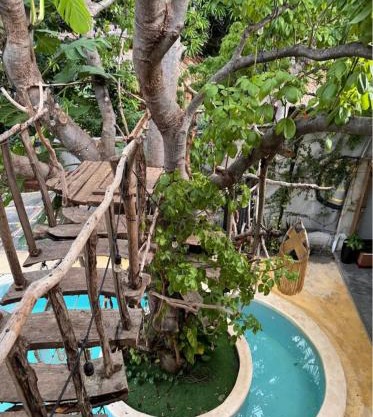 The Pool Treehouse Hotel