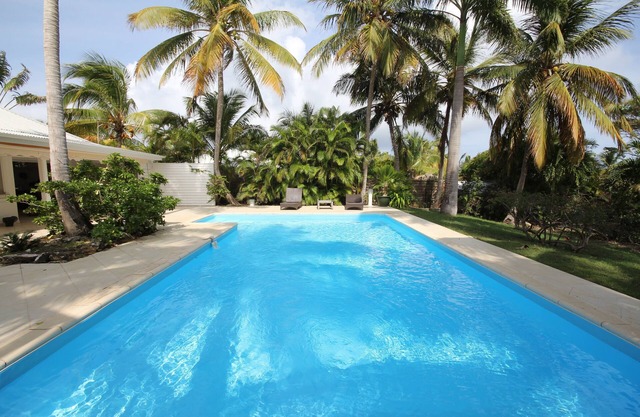 The ROYAL PALM TREE Villa with swimming pool