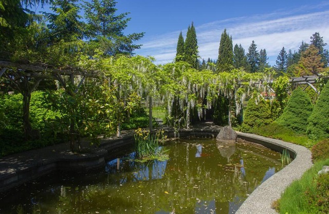 The Secret Garden