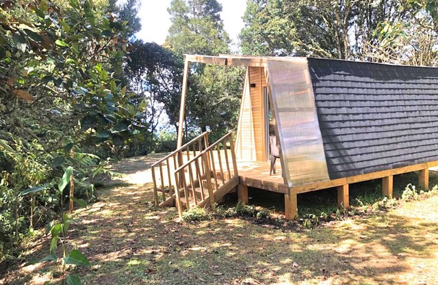 The Shire Glamping - nestled among lush trees, tranquil atmosphere