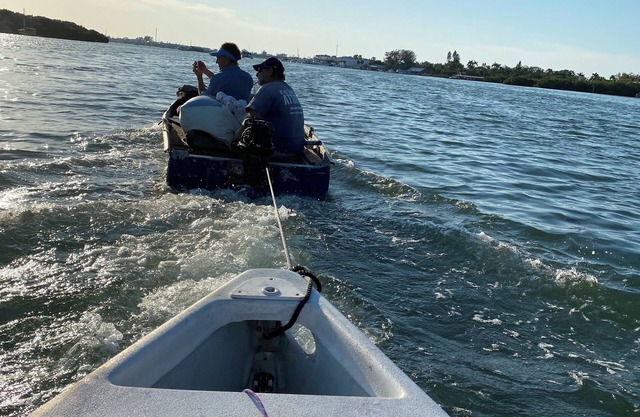 “The Spot”nGuaranteed Dolphin and Sea Life Sightings!