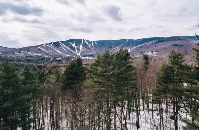 The SugarFunk Chalet (Access Rd w/Sugarbush Views)