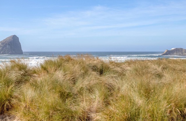 The Surf Perch