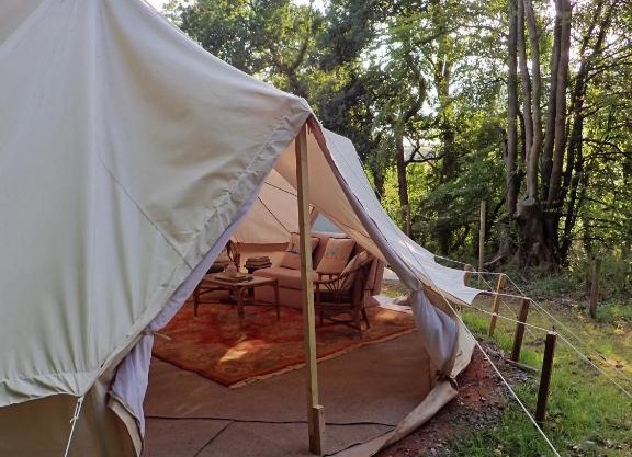 The Toad's Pad