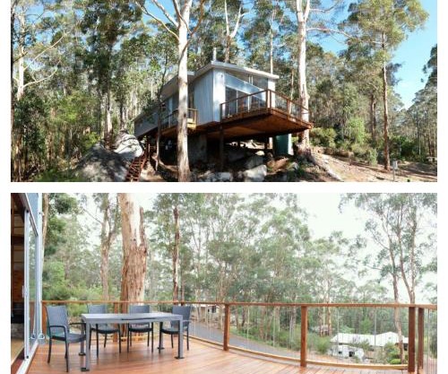 The Tree House
