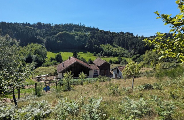 The very isolated Vosges Mountain Chalet with private spa