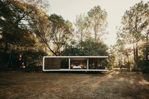 The Zenkaya Cabin