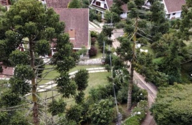 Theme Chalet