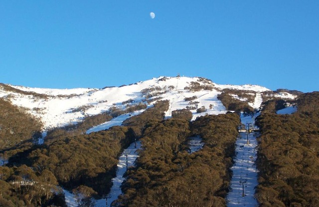 Thredbo 31
