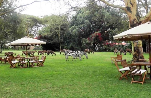 Three Ultimate Getaway Room for Animal Lovers, with Scenic Outdoor Patio