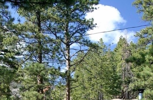 Timber Creek Chalets by Rocky Mountain Resorts