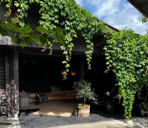 Tini House