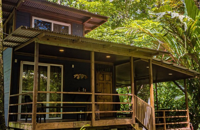 Tiny home nestled in the jungle near surf, snorkel, and wildlife in Bocas.