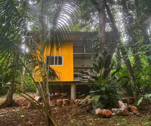 Tiny jungle house, few minutes from the beach