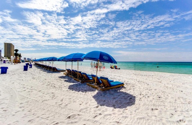 Top of the Gulf Experience
