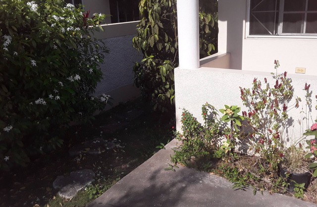 Town House in Mona, Kingston