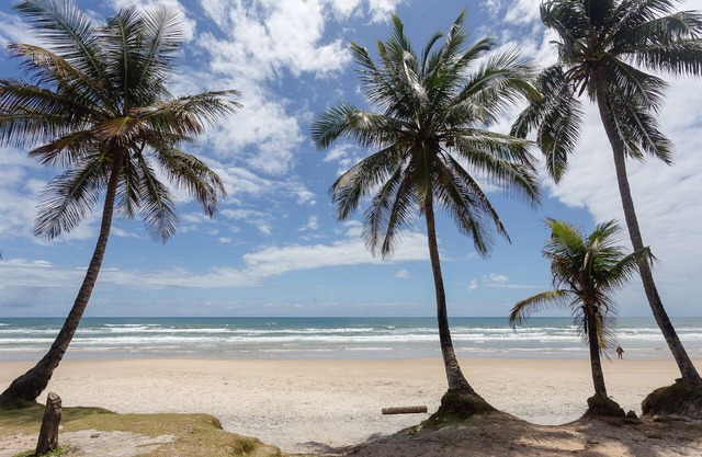 Townhouse 300m From Ilheus Beach Vcm005