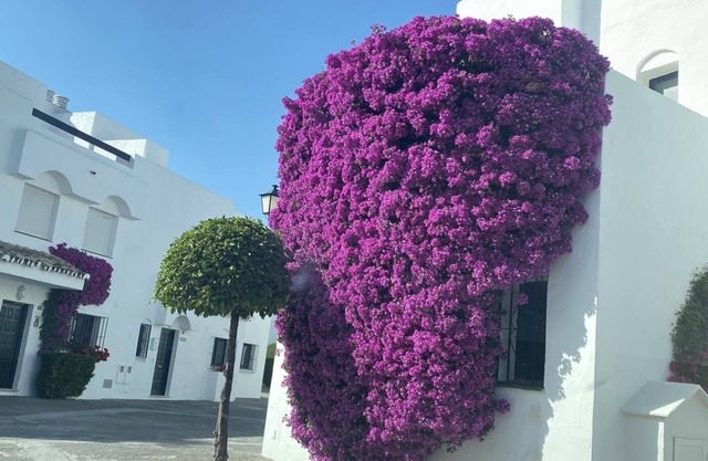 Townhouse in Marbella Guadalvillas