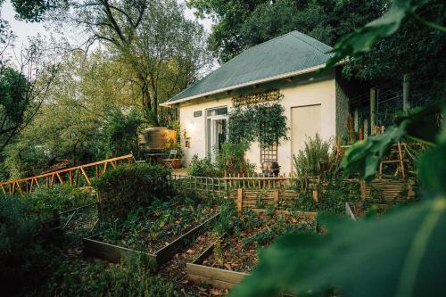 Tranquil Mountain Retreat Hout Bay Cottage