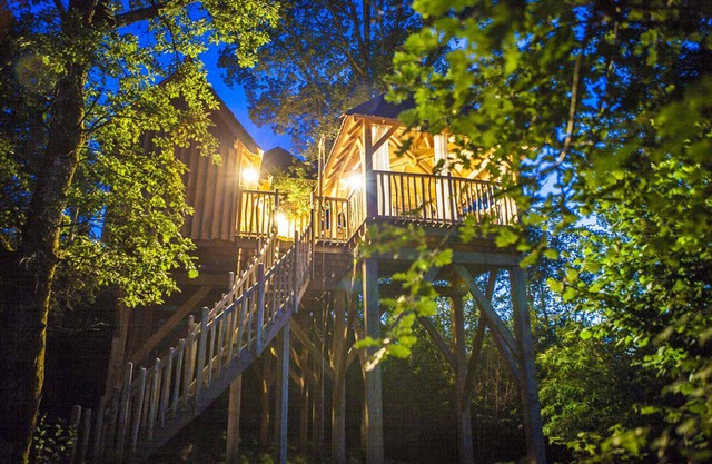 Tree house with private spa