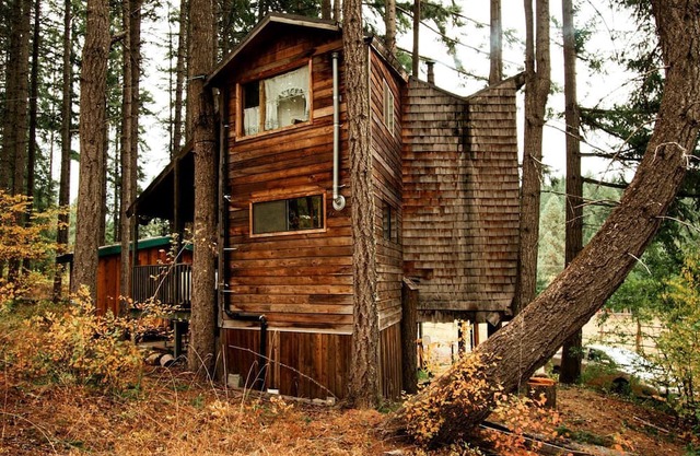 Tree House Style Cabin Nestled at the Foot of Scenic Snow-Capped Mt. Adams, Washington