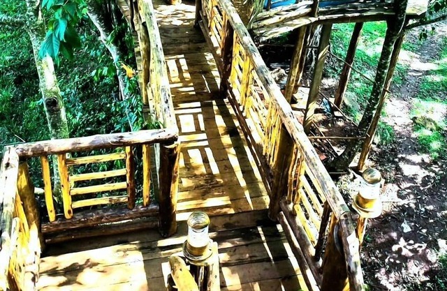 Tree House with a Pool