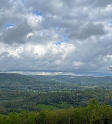Tree top View 15