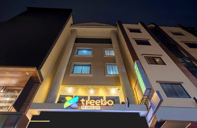 Treebo Green Olive