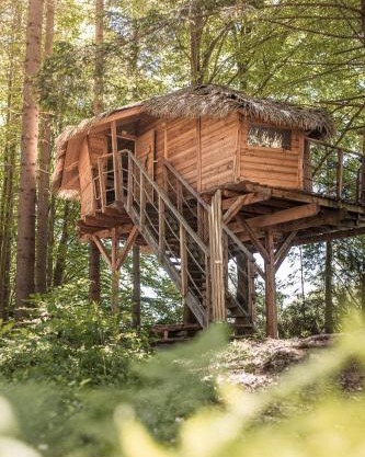 Treehouse Šumava