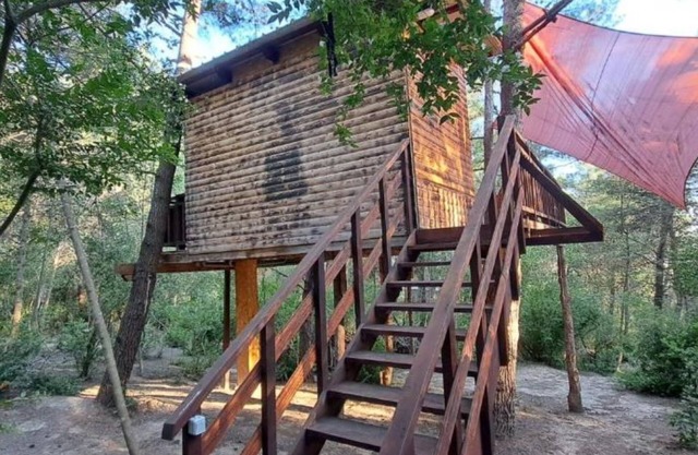 Treehouse in Ljubac