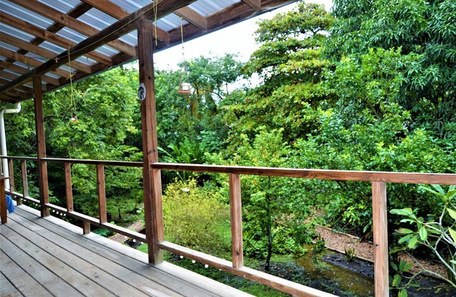 Treetop 'jungle Like' Escape in San Ignacio Your Belize Oasis Awaits!