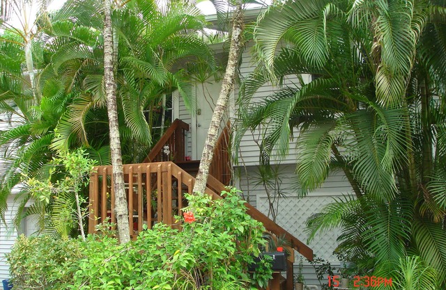 Treetops Riverfront Private Cottage w/Dock,wildlife,kayak,bike,pool,100+ reviews