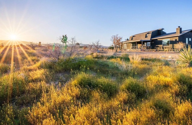 TRZ- Pioneertown Ranch w/ Spa + Basketball & Games