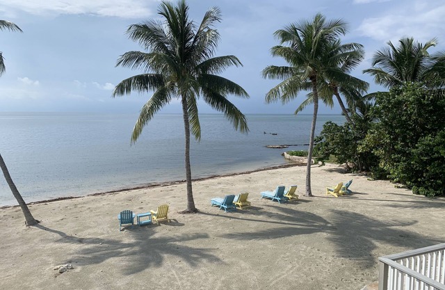 Turtle Beach is an Oasis on the Atlantic Ocean