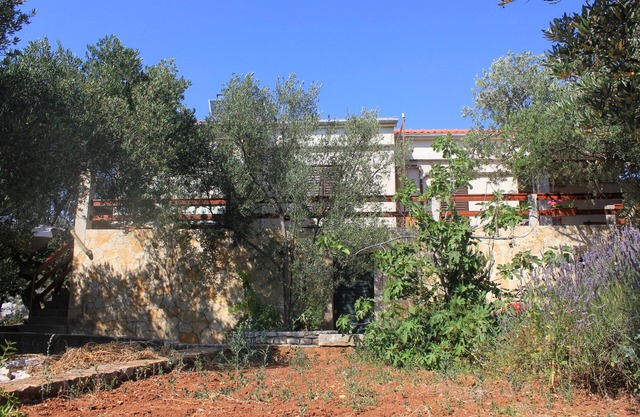 Two bedroom apartment near beach Cove Magrovica - Telašćica, Dugi otok (A-8139-b)
