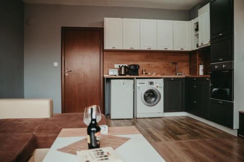 Tyulev apartment 2