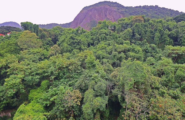 U050 Apartamento com vista para natureza